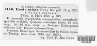 Uredo mixta image